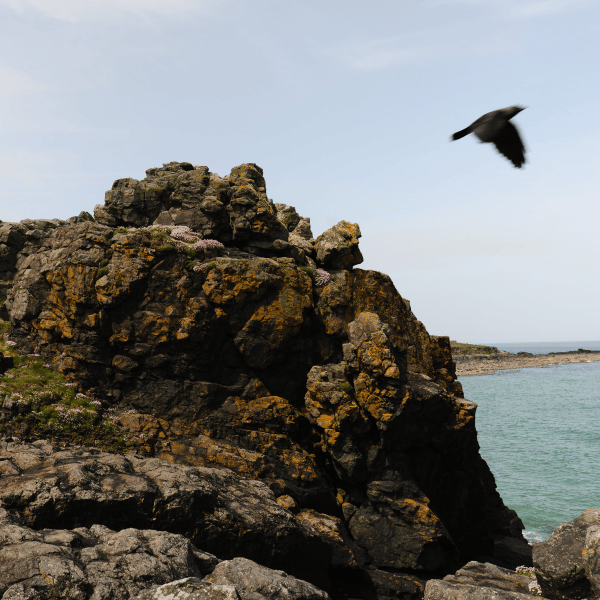 autumn walks in st ives