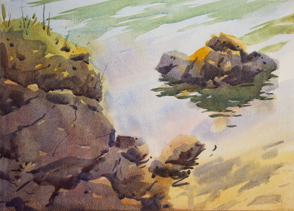 Watercolour painting of rocks and fauna, Elberry by David Webb