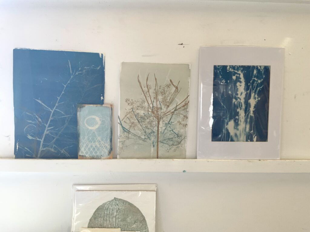 Annabel Wilkes, coastal cyanotypes