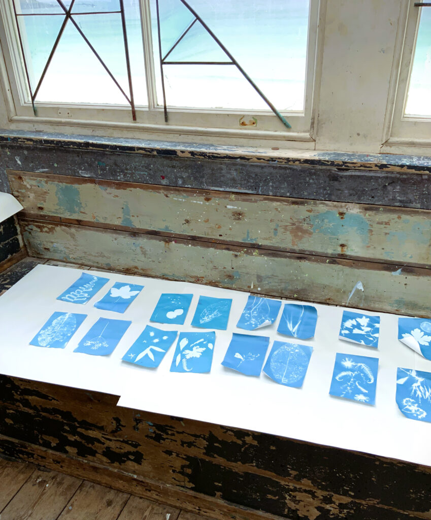 Cyanotype