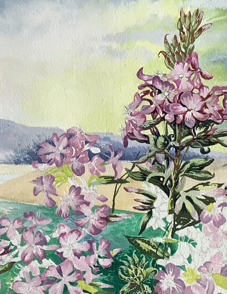 watercolour painting of flora scene by coast by Hilary Jean-Gibson