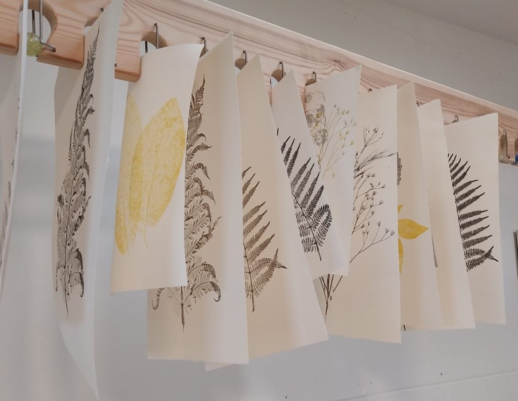 Annabel Wilkes, Botanical Monoprints